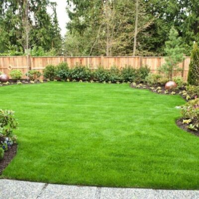 landscaping-services-1-768x511