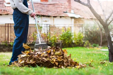 leaf-removal-near-me