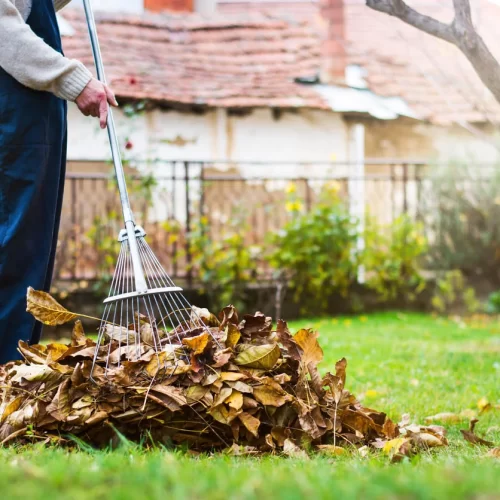 Leaf-Removal-Near-Me